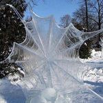 frozen_spider_web.jpg