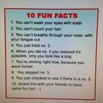 fun_facts.jpg