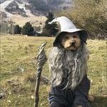gandalf.jpg
