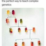 genetics.jpg