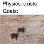 goats4.jpg