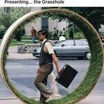 grasshole.jpg