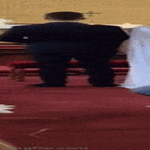haissa4.gif