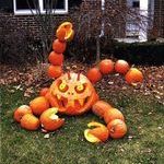 halloween_pumpkins.jpg