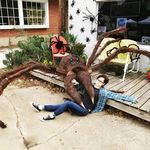 halloweenspider.jpg