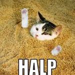halp2.jpg