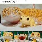 happygecko.jpg