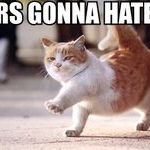 haters_gonna_hate_cat.jpg