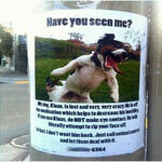 have_you_seen_me.jpg