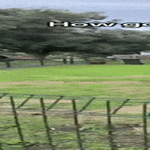 heita_uudellee_hei.gif