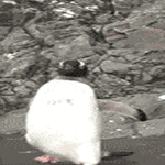 herättäjä.gif