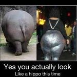 hippo_ass.jpg