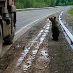 hitchhiking_in_russia.jpg