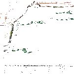 homer2.gif