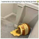 honey_jar_bed.jpg