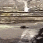 hoplaa_hoplaa.gif