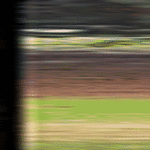 hoppss.gif