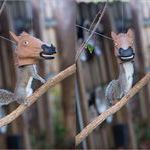 horse_head_squirrel_feeder.jpg