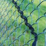 how_a_snake_uses_a_fence.jpg
