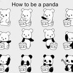 how_to_be_a_panda.jpg