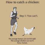 how_to_catch_a_chicken.jpg
