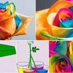 how_to_easily_make_colorful_roses.jpg