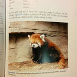 html5_red_panda.jpg