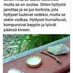 hyttysloukku2.jpg