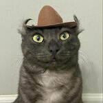 iamcowboy.jpg