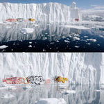 iceberg_graffiti.jpg