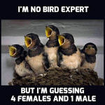 im_not_bird_expert.jpg