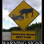 invincible_moose_sign.jpg