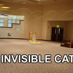 invisiblecat.jpg