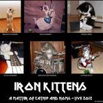 iron_kittens.jpg