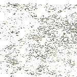 iso_kiikku.gif