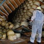 italy_earthquake_parmesan_damage.jpg