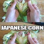 japan_corn.jpg