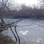 jarkeva_loikka.gif