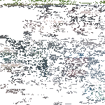 jarruta_jarruta.gif