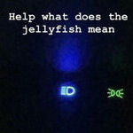 jellyfishicon.jpg
