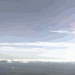 jumping_cat.gif