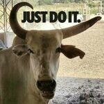 justdoitnike.jpg