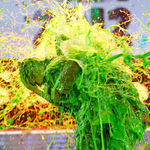 justin_bieber_and_will_smith_slimed_at_nickelodeon_kids_choice_awards.jpg