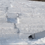 kaivuuhommia.gif
