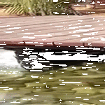 kalojenruokintaa.gif