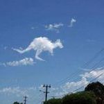kangaroo_cloud.jpg