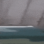 karuselli_doge.gif