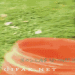 karuselli_kyydit.gif