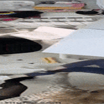kattokaas_näitä.gif