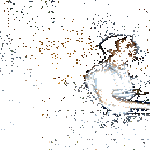 kaverille_polttava_kalli.gif